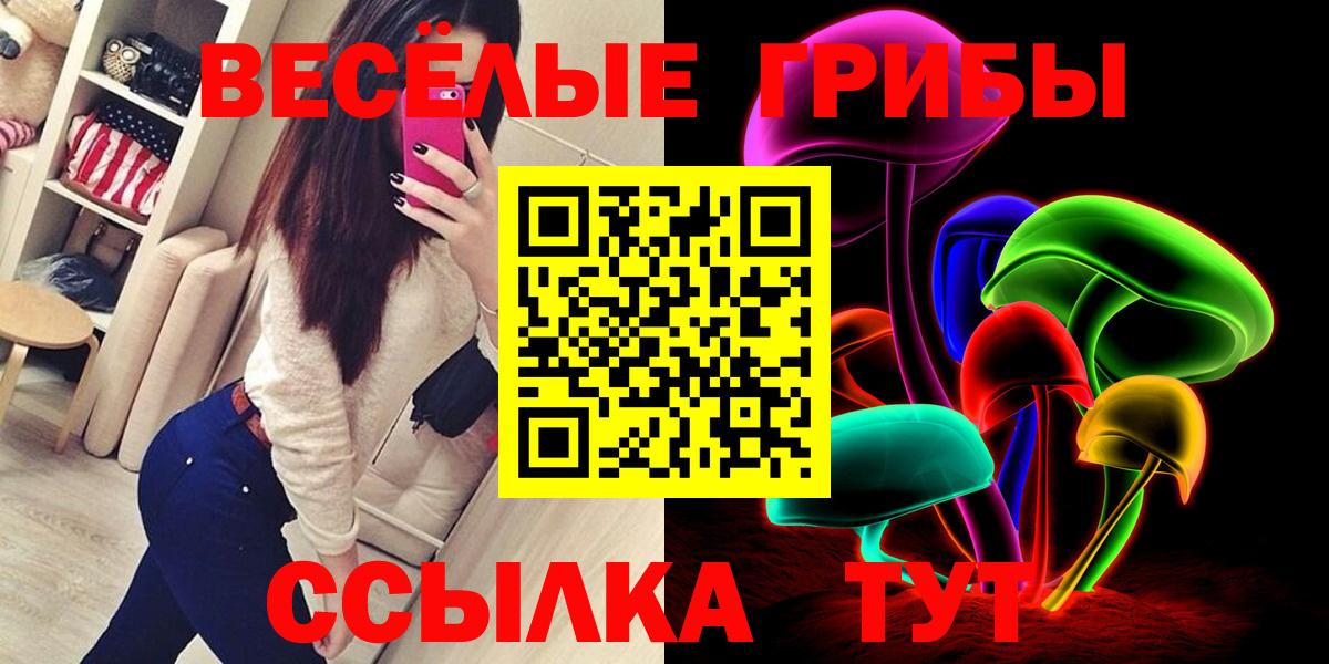 Псилоцибиновые грибы мицелий Муром