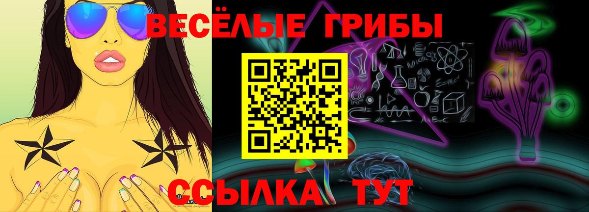 Муром  Псилоцибиновые грибы GOLDEN TEACHER  Вход с VPN  Псилоцибиновые грибы Cubensis 
